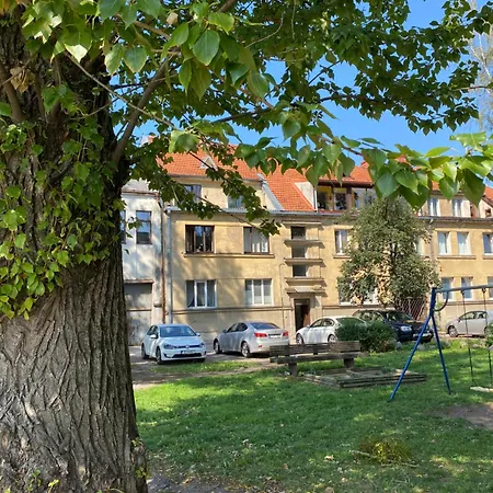 2 Min To Island! Spacious Family-sized Old Town Apartment *