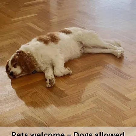 Spacious Old Town Apartment, 3 Rooms, Free Parking, Sleeps Up To 7 Apartament